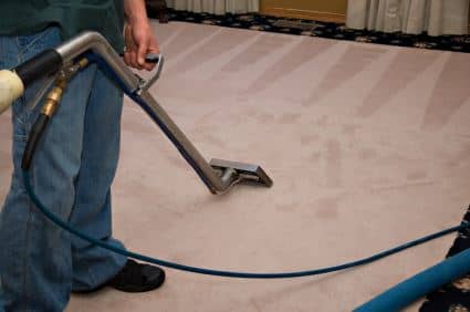 Professional Carpet Cleaning Thumbnail